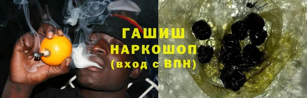 МДПВ Каменногорск