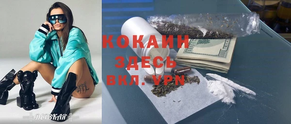 МДПВ Каменногорск