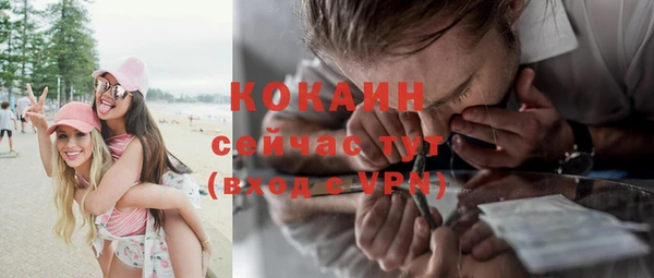 МДПВ Каменногорск