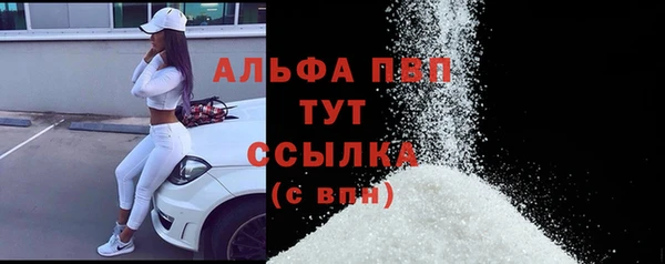 МДПВ Каменногорск