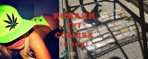 МДПВ Каменногорск