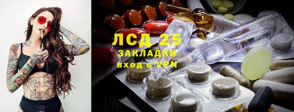 МДПВ Каменногорск