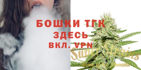 МДПВ Каменногорск