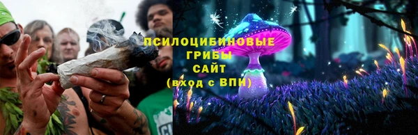 mdma Каменка