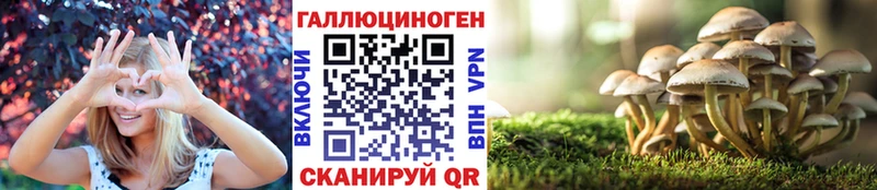 купить наркотики цена  Новошахтинск  Галлюциногенные грибы ЛСД 