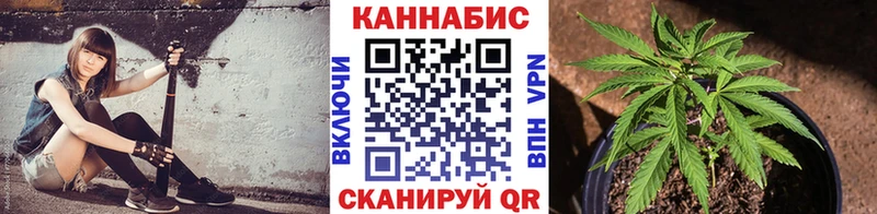 ссылка на мегу как войти  Новошахтинск  МАРИХУАНА сатива 